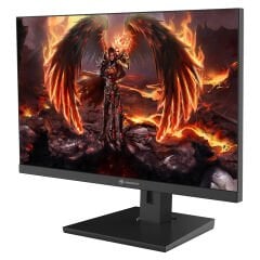 GameBooster GB-2419FF 23.8'' 180Hz 1ms SS IPS FHD FreeSync, G-Sync HDMI*1+DP*1Flat Gaming Monitör