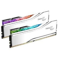 trident-z5-royal-silver-rgb-