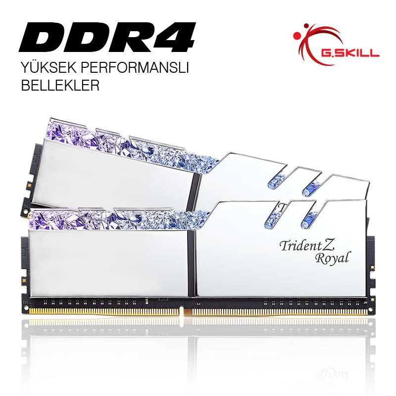 tridentz-royal-silver-dual-01.