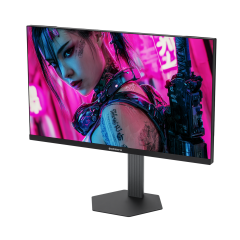 GameBooster ATLAS EF42 24.5'' 420Hz FHD Fast IPS 0.5ms 2*HDMI + 2*DP HDR400 Hoparlörlü Pivot Flat Gaming Monitör