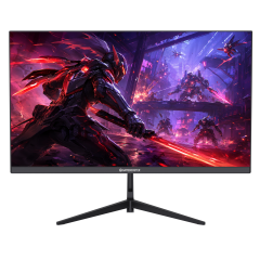 GameBooster RUVIE EF24 23.8'' 240Hz 0.5ms FHD VA 2*HDMI+DP HDR10 RGB Gaming Monitör