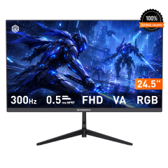 GameBooster RUVIE EF30 24.5'' 300Hz 0.5ms FHD VA 2*HDMI+2*DP HDR10 RGB Gaming Monitör