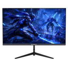 GameBooster RUVIE EF30 24.5'' 300Hz 0.5ms FHD VA 2*HDMI+2*DP HDR10 RGB Gaming Monitör