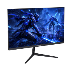 GameBooster RUVIE EF30 24.5'' 300Hz 0.5ms FHD VA 2*HDMI+2*DP HDR10 RGB Gaming Monitör
