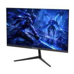 GameBooster RUVIE EF30 24.5'' 300Hz 0.5ms FHD VA 2*HDMI+2*DP HDR10 RGB Gaming Monitör